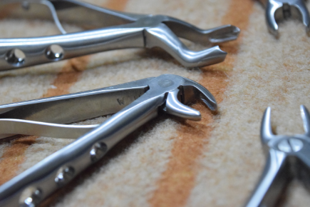 Dental Tooth Forceps